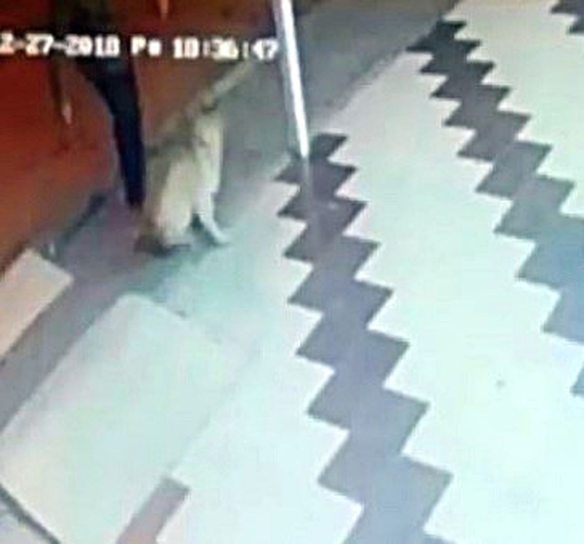 Önce Köpeğe Tekme Attı Sonra Sopa ile Saldırdı