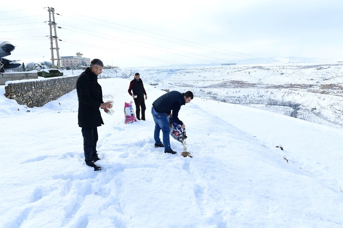 Sokak Hayvanları ve Kuşlar İçin Doğaya Yem Bırakıldı