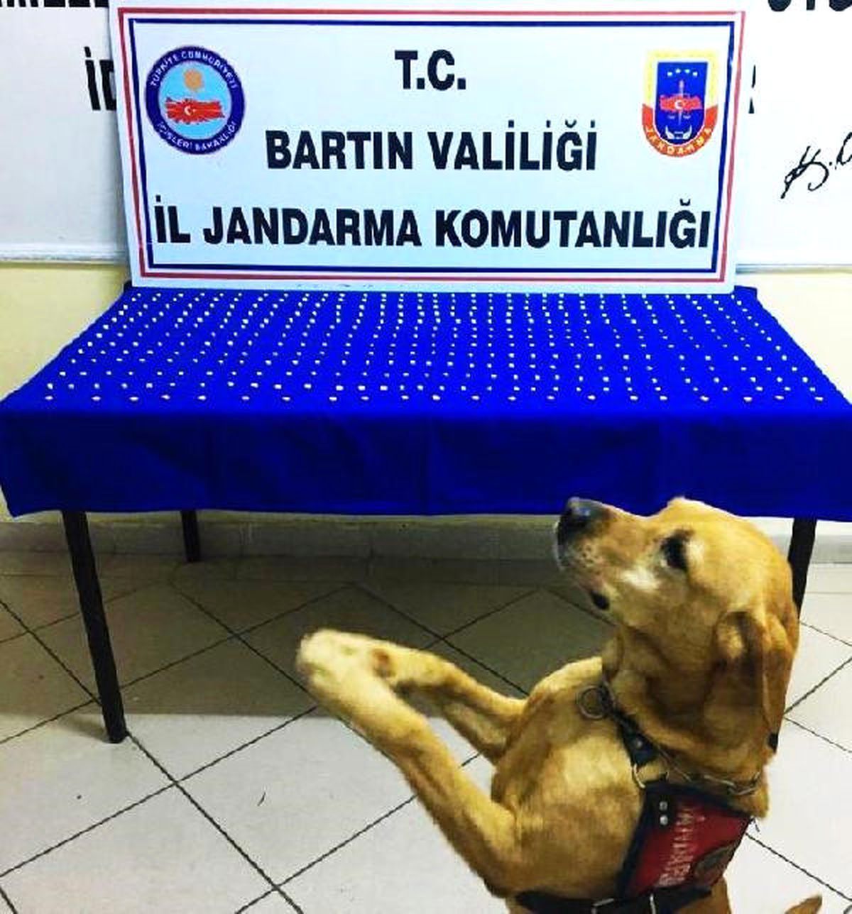 Bartın\'da 434 Uyuşturucu Hap Ele Geçirildi: 3 Gözaltı