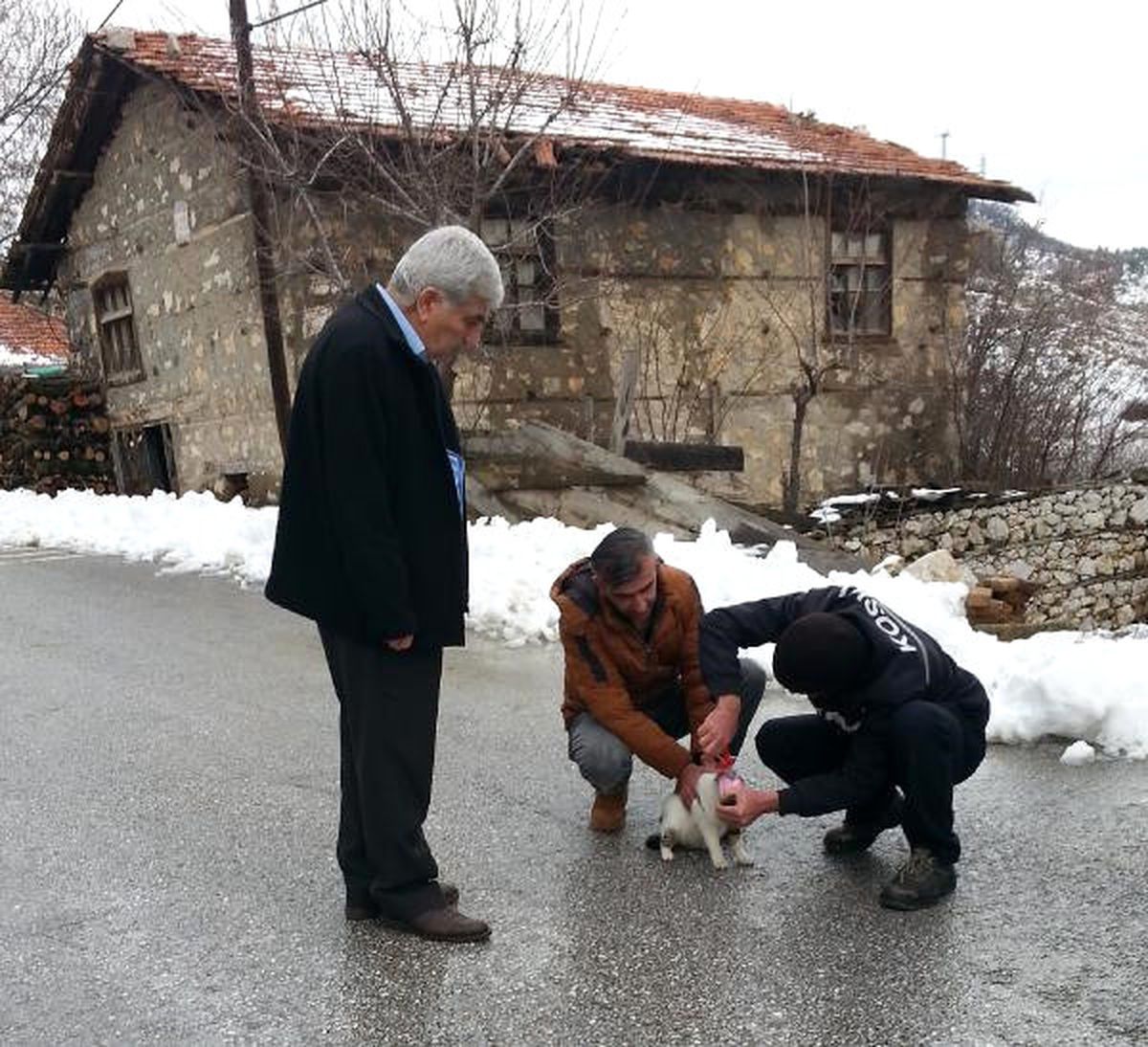 Başı Konserve Kutusuna Sıkışan Kediyi Belediye Çalışanları Kurtardı