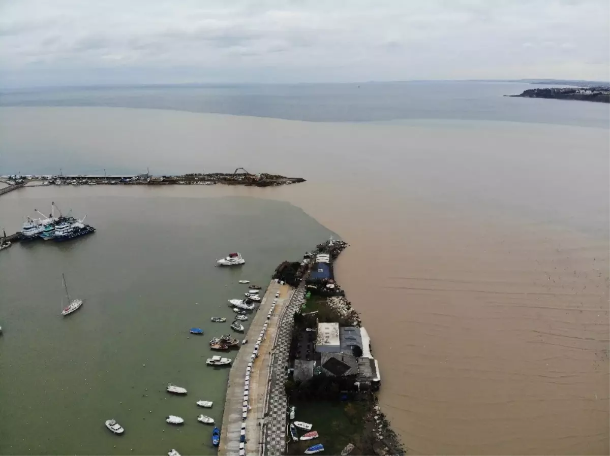 Boğluca Deresi Taştı, Deniz Kahverengiye Boyandı