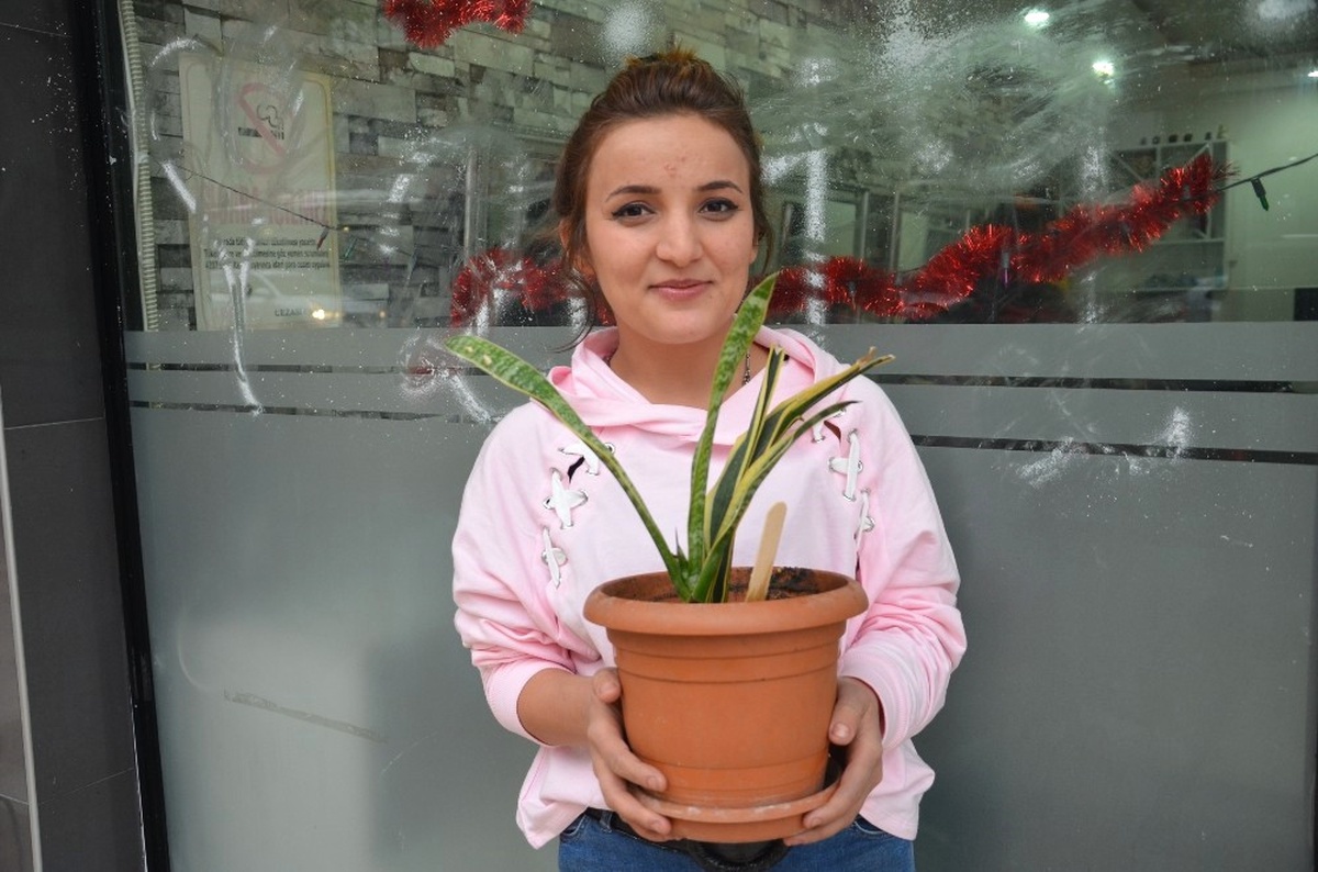 Çiçekleri Çalınan Kadın, Hırsızlara Seslendi: "Getirsinler Çiçeklerimi"