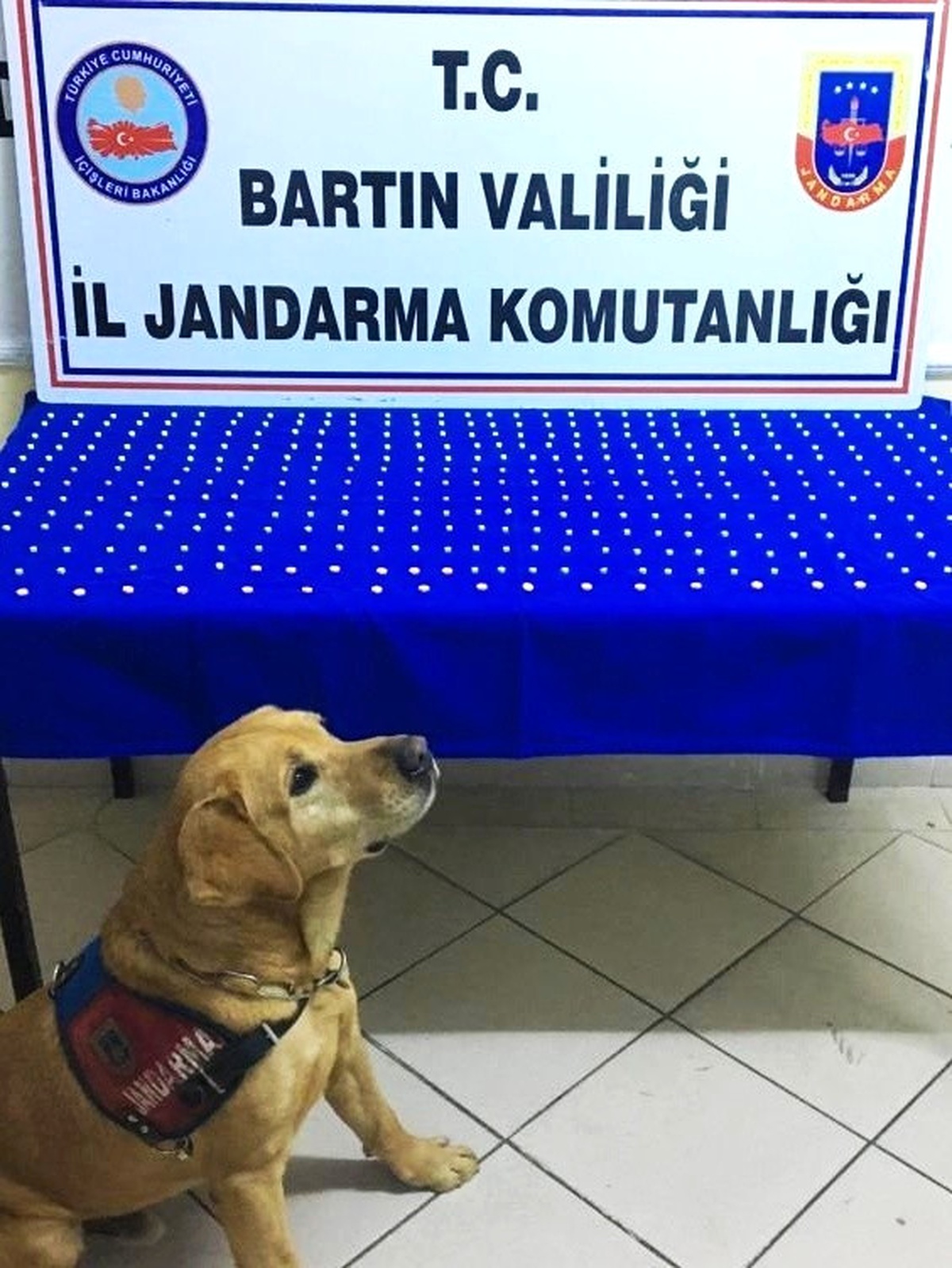 Jandarmadan Uyuşturucu Operasyonu: 3 Gözaltı