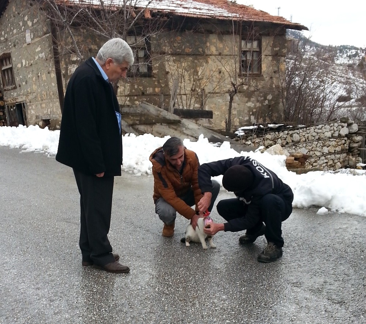 Kafası Konserve Kutusuna Sıkışan Kedi Kurtarıldı