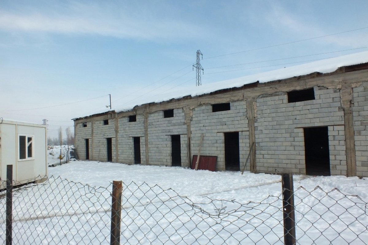 Malazgirt\'te \'Sokak Hayvanları Bakımevi ve Rehabilitasyon Merkezi\' Kuruluyor