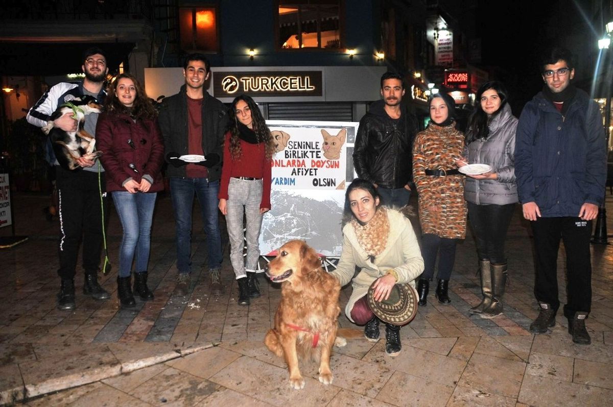 Pilav Satıp Hasta Hayvanları Tedavi Ettiriyorlar