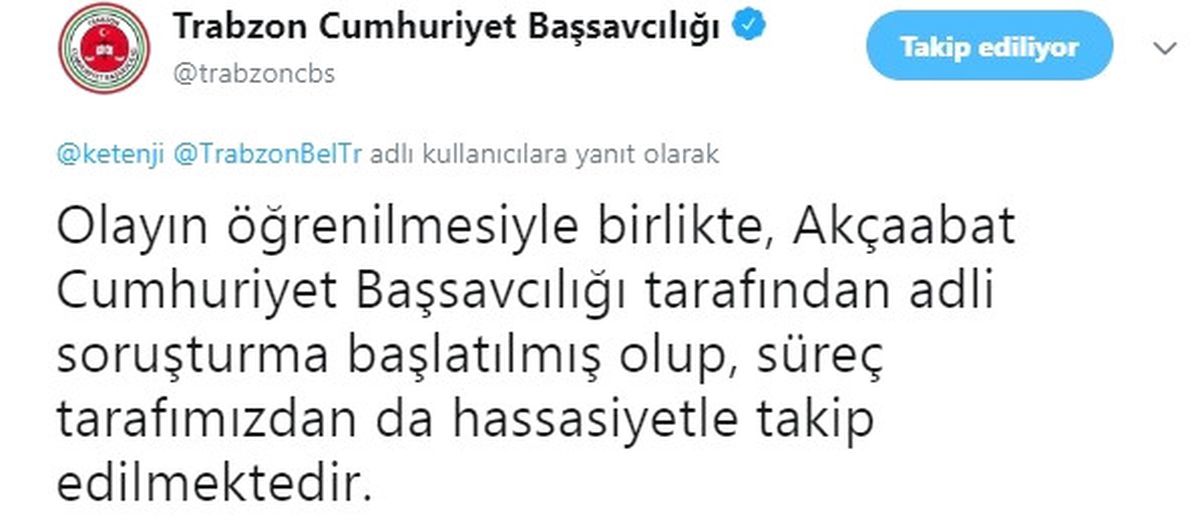 Trabzon\'daki Hayvan Katliamına Adli Soruşturma Başlatıldı