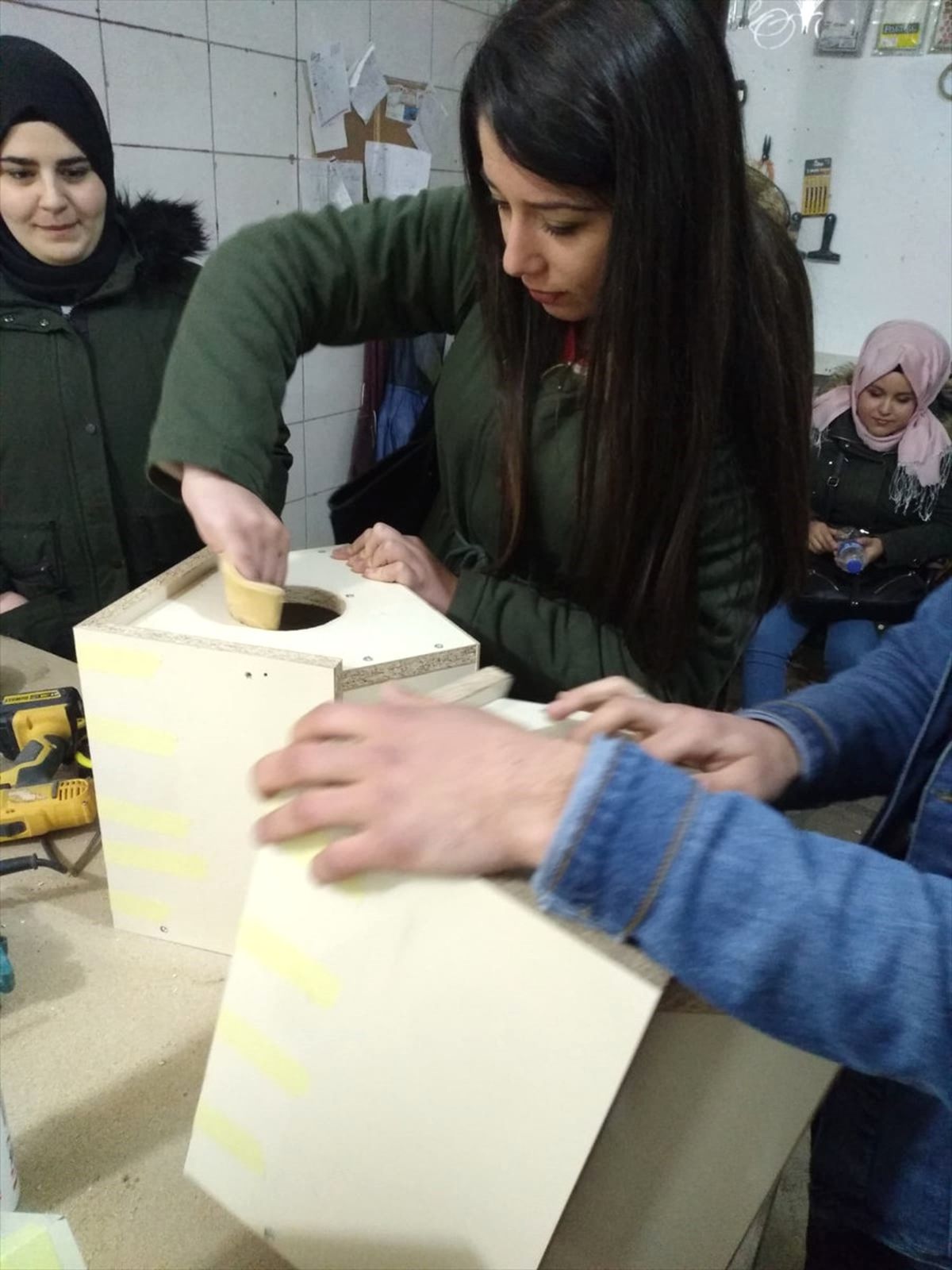 Bilecik\'te Sokak Hayvanları Unutulmadı