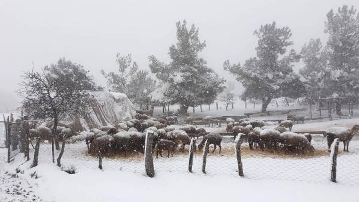 Çanakkale\'nin Yükseklerinde Kar Yağışı Etkili Oldu