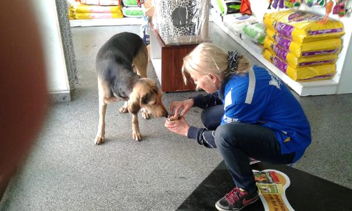 Haytap: Hava İnsanlar İçin Soğuksa, Köpekler İçin de Soğuk
