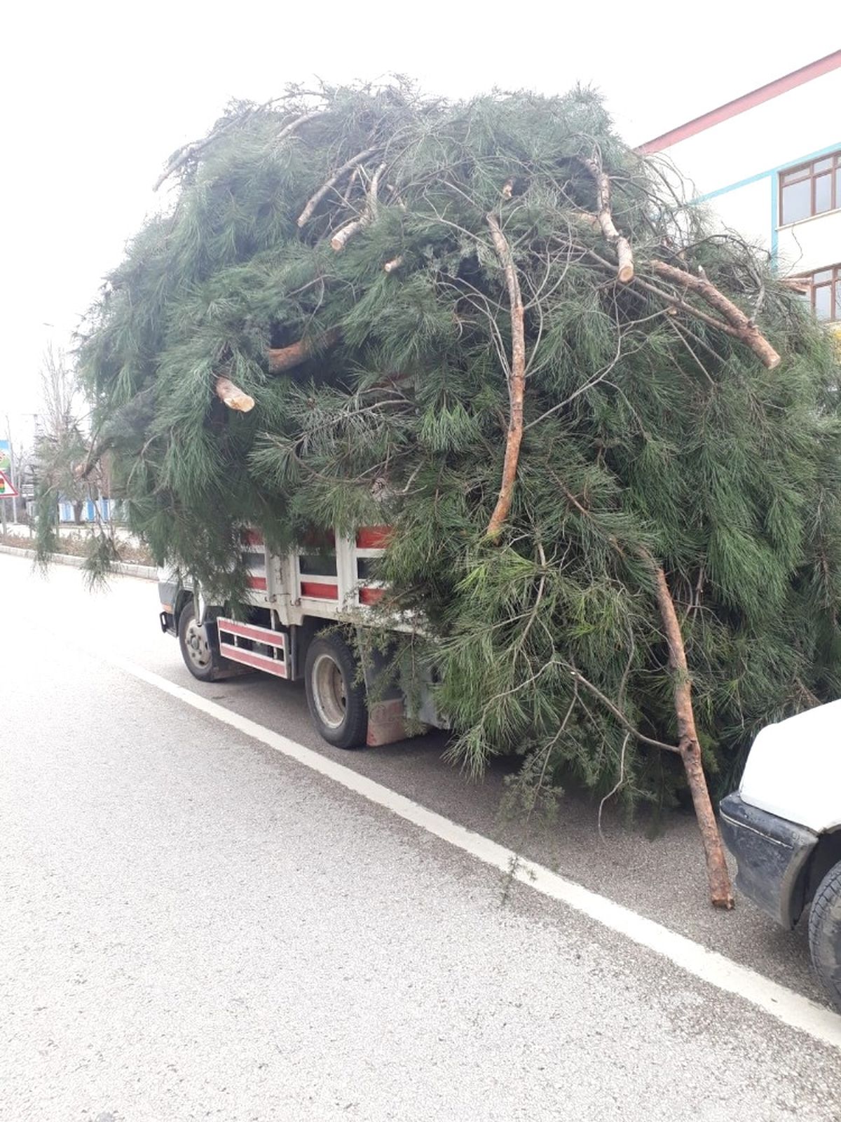 Karayolunda İlerleyen Ağaç Görünümlü Kamyonete Trafikten Men