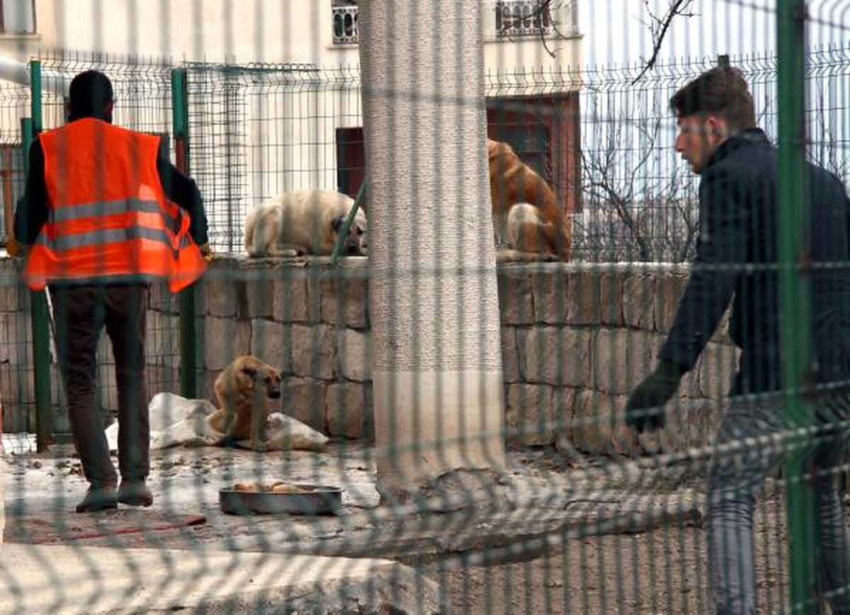 Köpek Saldırısında Ölen Liselinin Cenazesinde Gerginlik (2)