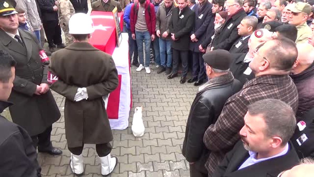 Şehidin Beslediği Kedi Tabutunun Başından Ayrılmadı