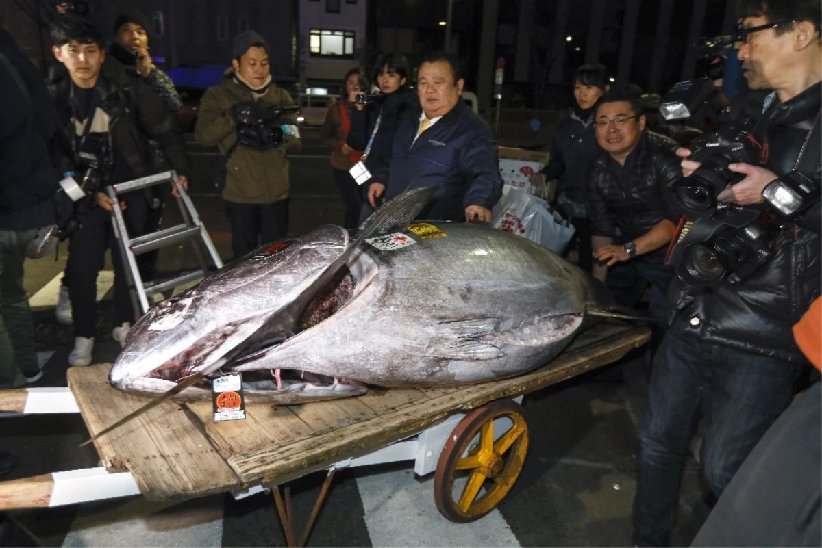 Tokyo\'da Balık Mezatında Rekor Fiyat, 16 Milyon Liraya Satıldı