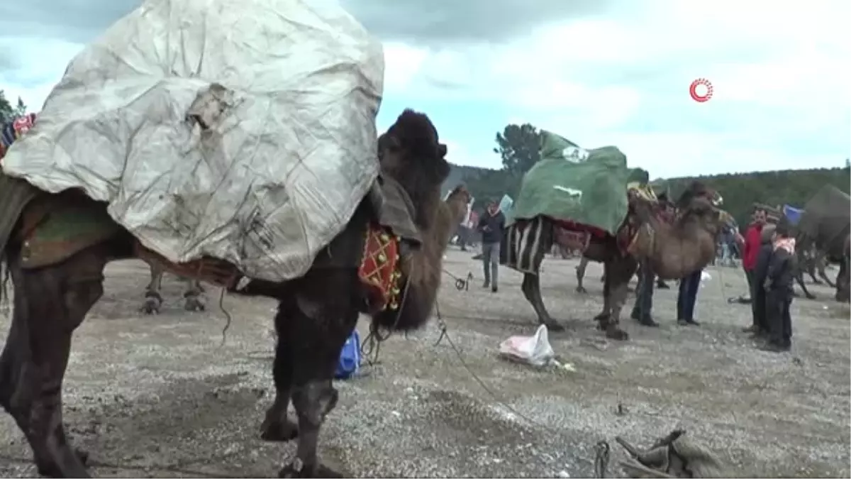 Develere Yağmurluk Giydirdiler