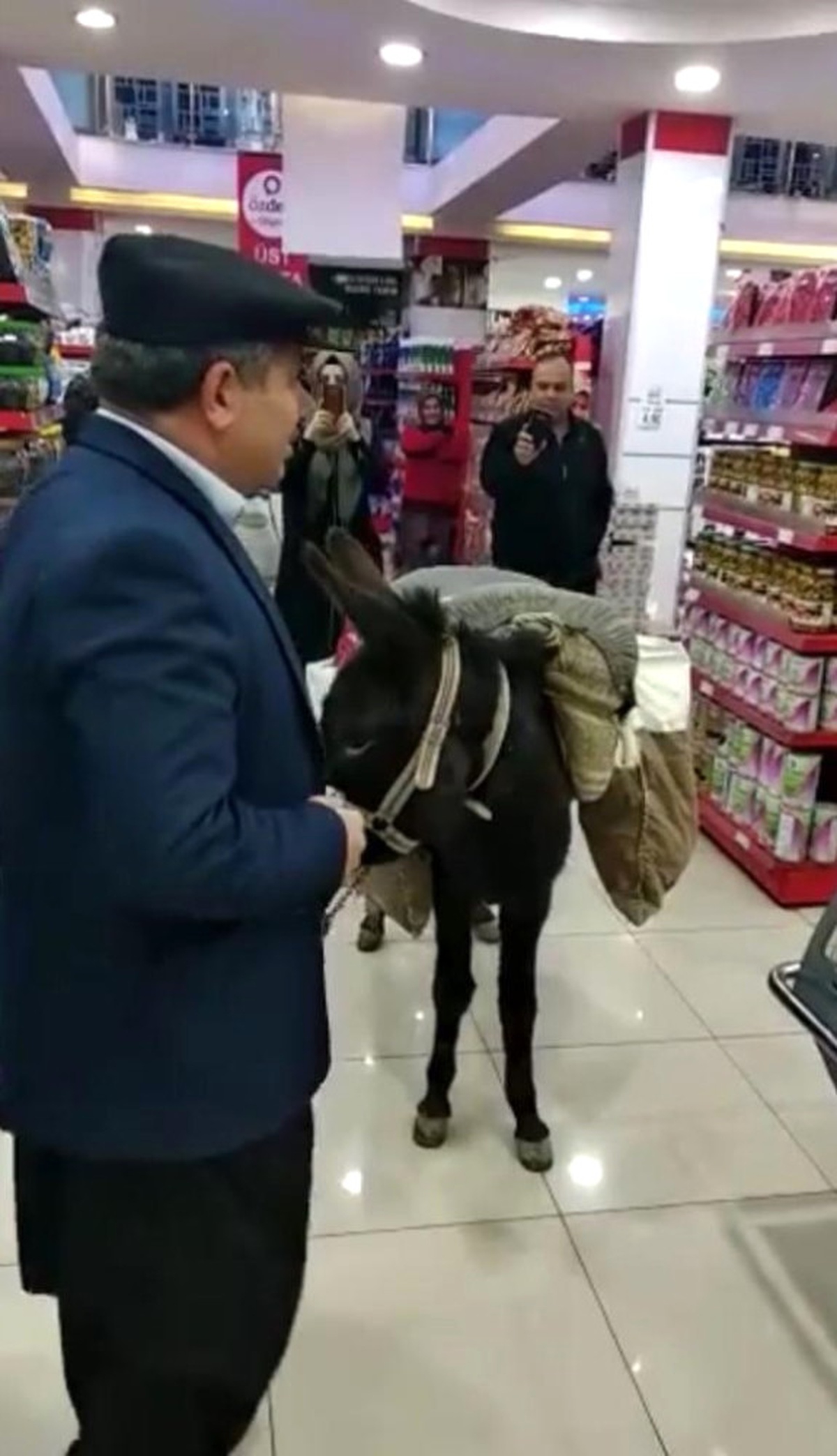Markete Eşekle Geldi, Poşet Yerine Heybesini Kullandı