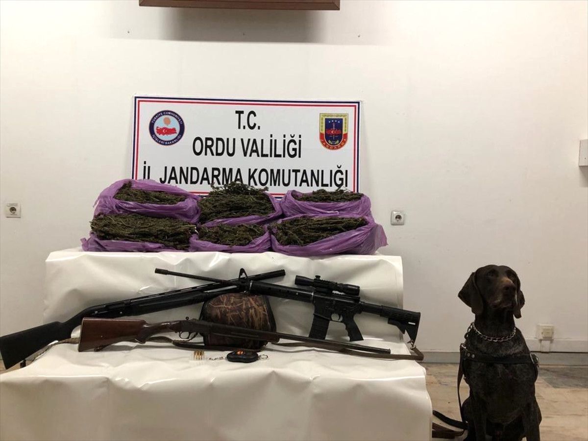 Ordu\'da Uyuşturucu Operasyonu