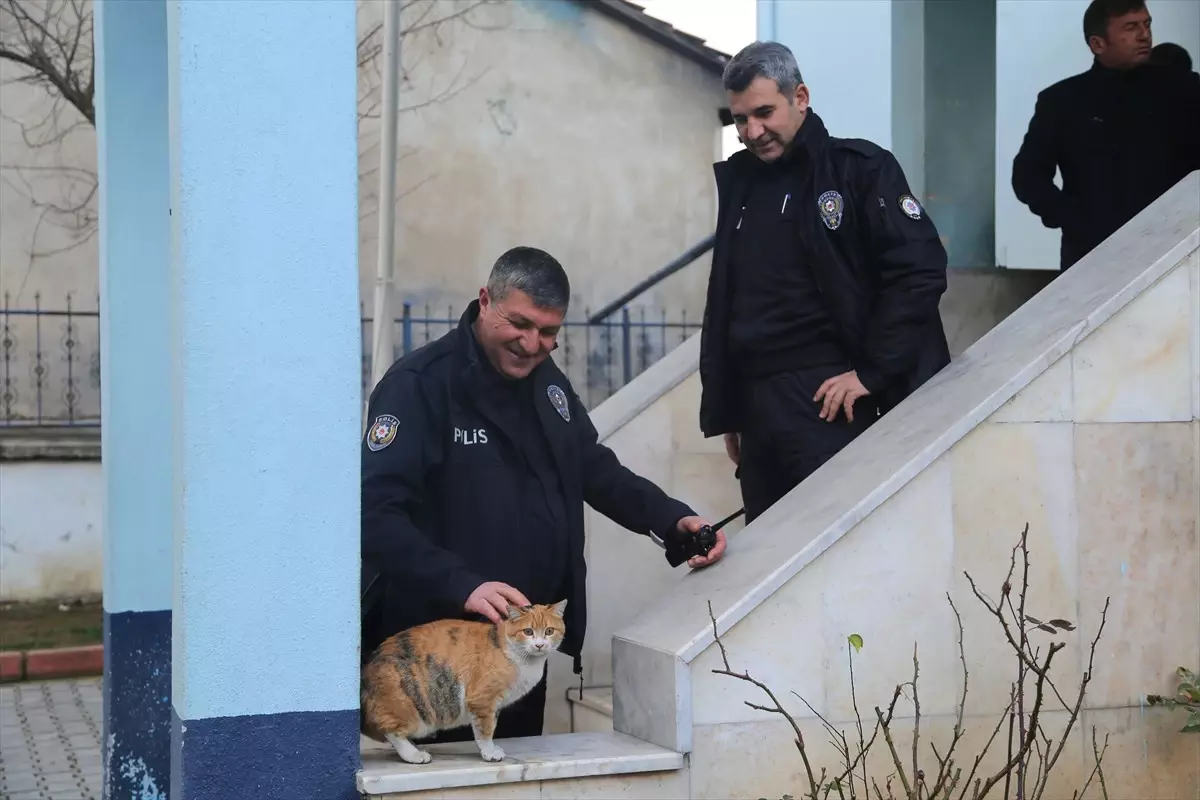 Sevimli Patilere" Polisler Sahip Çıktı