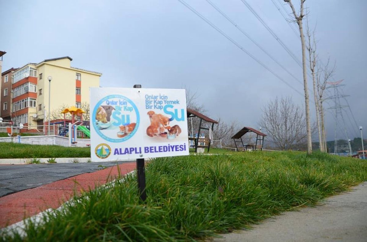 Alaplı\'da Can Dostlar İçin "Bir Kap Yemek, Bir Kap Su" Projesi