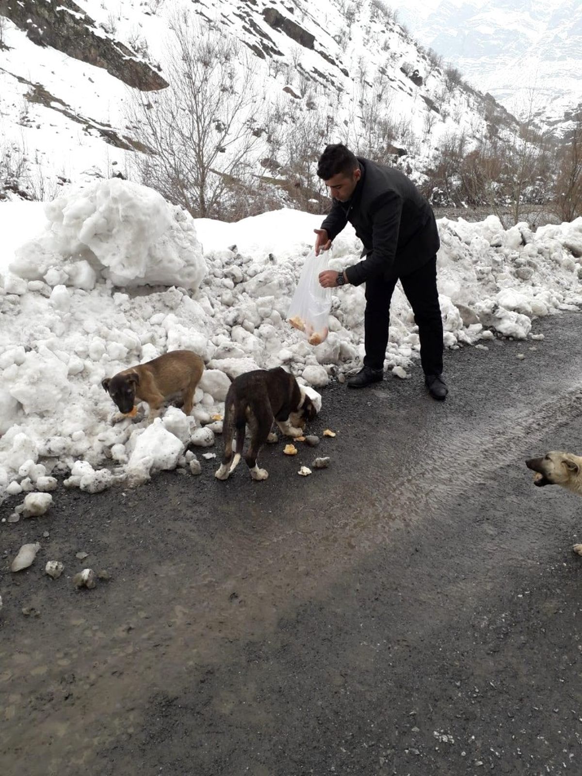 Duyarlı Vatandaşlardan Örnek Davranış