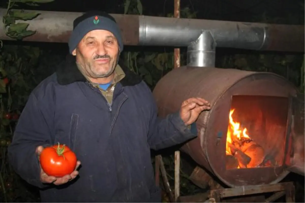 Fethiyeli Çiftçilerden Seralarda Dona Karşı Nöbet