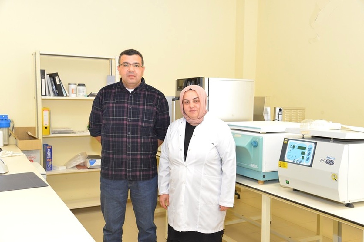 Kaeü\'si Projesi ile \'Arı Ölümleri\' Azalacak