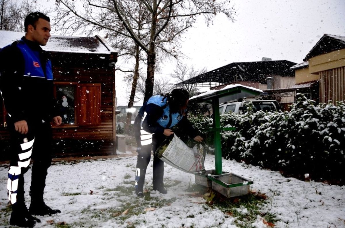 Kar Yağışı Altındaki İlçede Sokak Hayvanlarını Unutmadılar