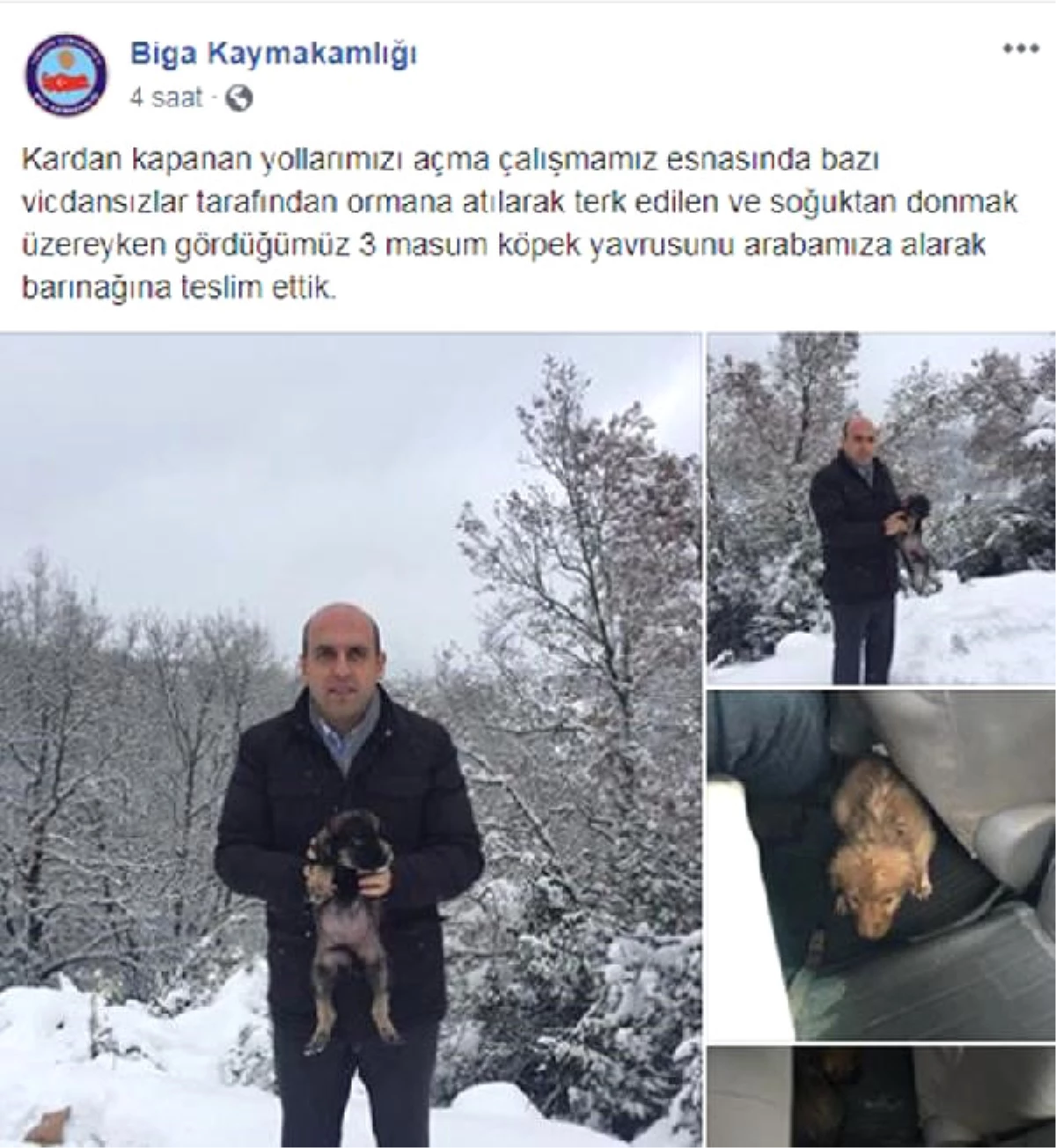 Kaymakam, Köpek Yavrularını Karda Donmaktan Kurtardı