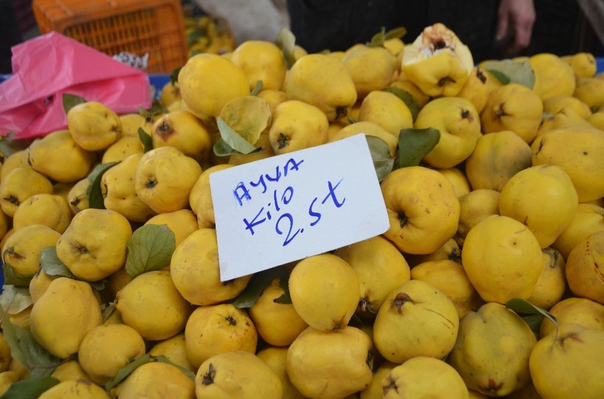 Vatandaş \'Ayva\'nın Her Türlüsünü Yiyor