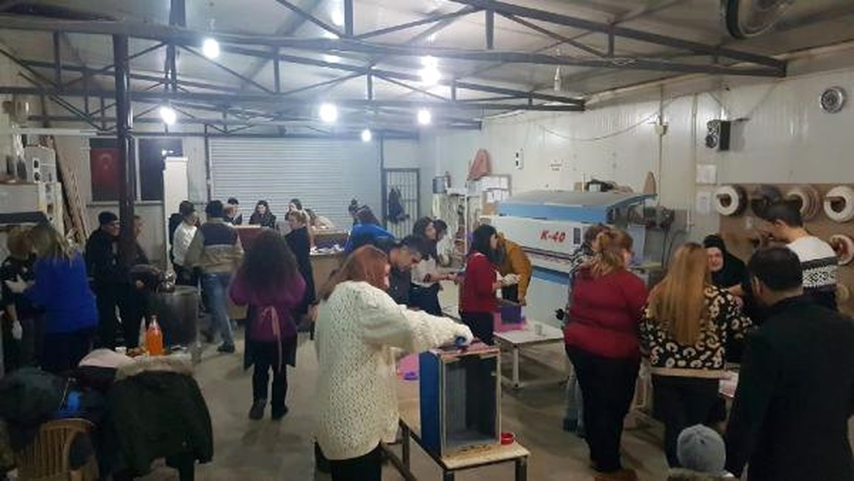 Yaptıkları Kedi Evlerini Sokaklara Bıraktılar