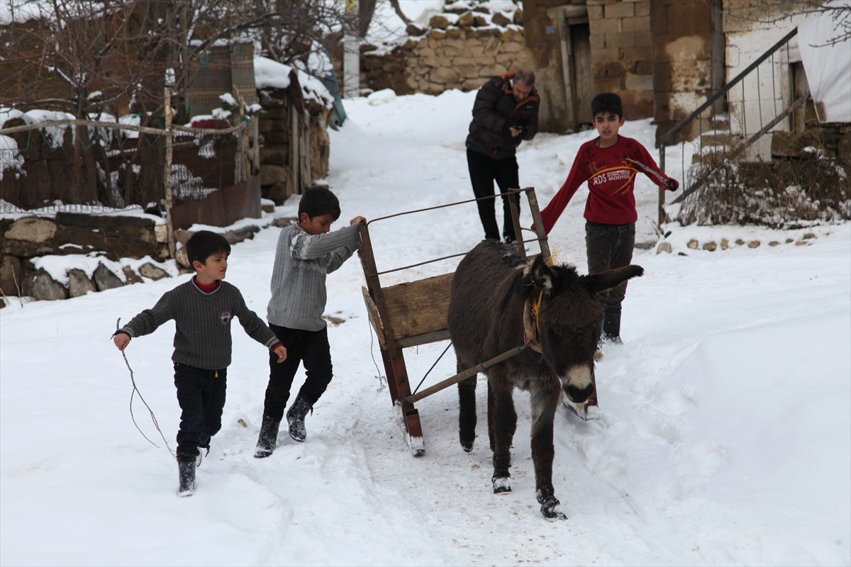 Ahlat\'ta Çocuklar Kızaklarla Ot Taşıyor