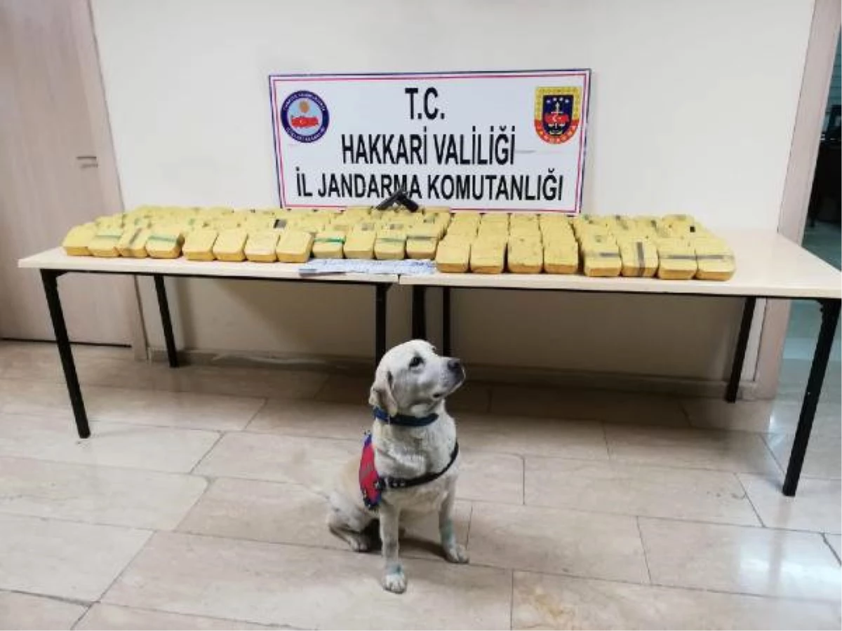 Araçta \'Bingo\' ile Yapılan Aramada 73 Kilo Eroin Ele Geçirildi (2) - Yeniden