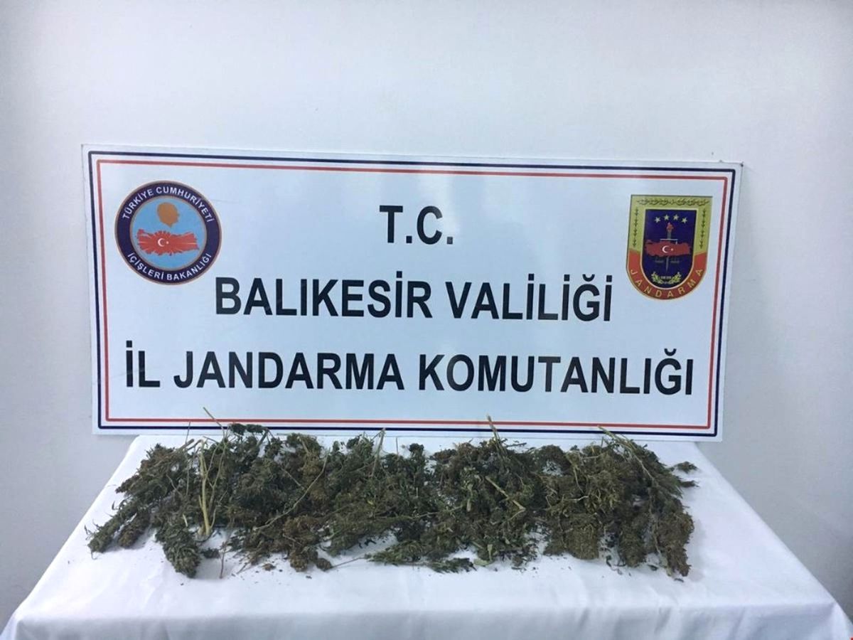 Ayvalık\'ta Jandarma İlçeye Uyuşturucu Getiren 1 Kişiyi Yakaladı
