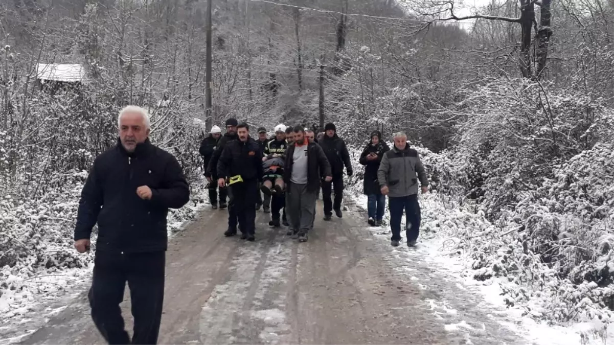 Buzda Kayan Otomobil Ağaçlık Alana Devrildi: 3 Yaralı