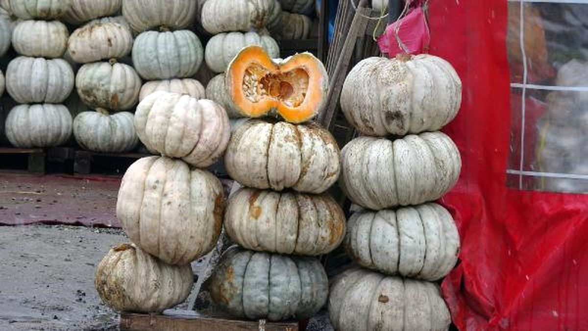 Düzce Bal Kabağının Ünü, Kent Sınırlarını Aştı