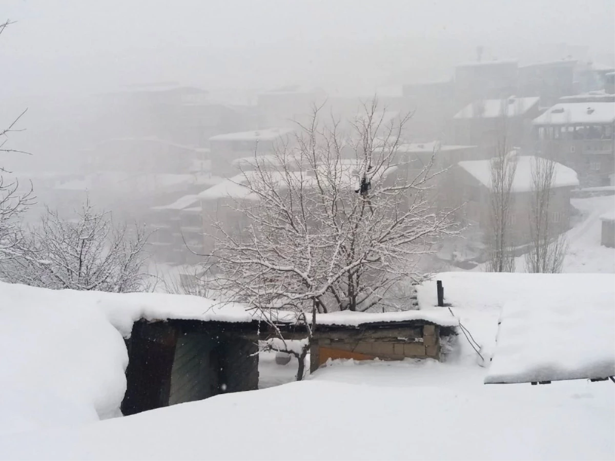 Hakkari\'de 183 Yerleşim Yerinin Yolu Kapandı