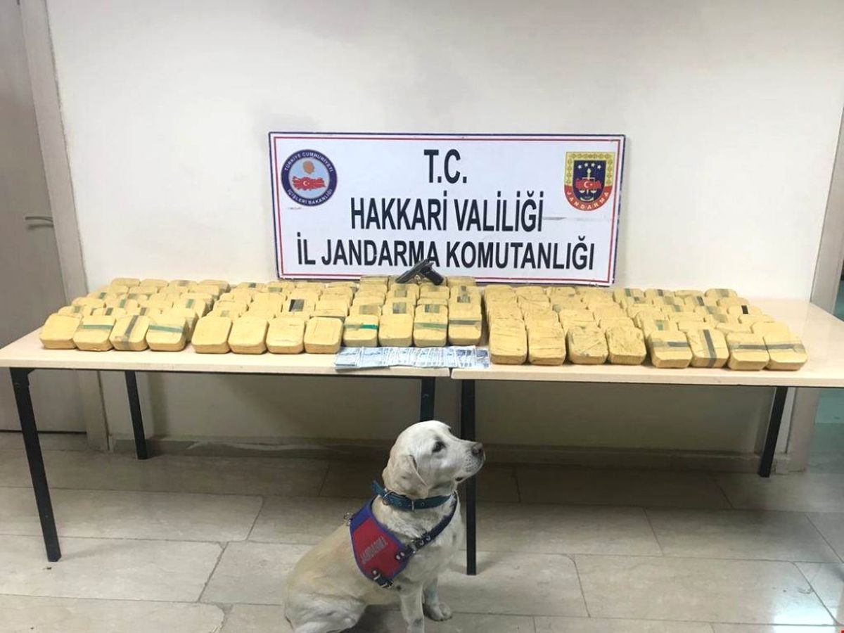 Hakkari\'de 73,6 Kilo Eroin Ele Geçirildi