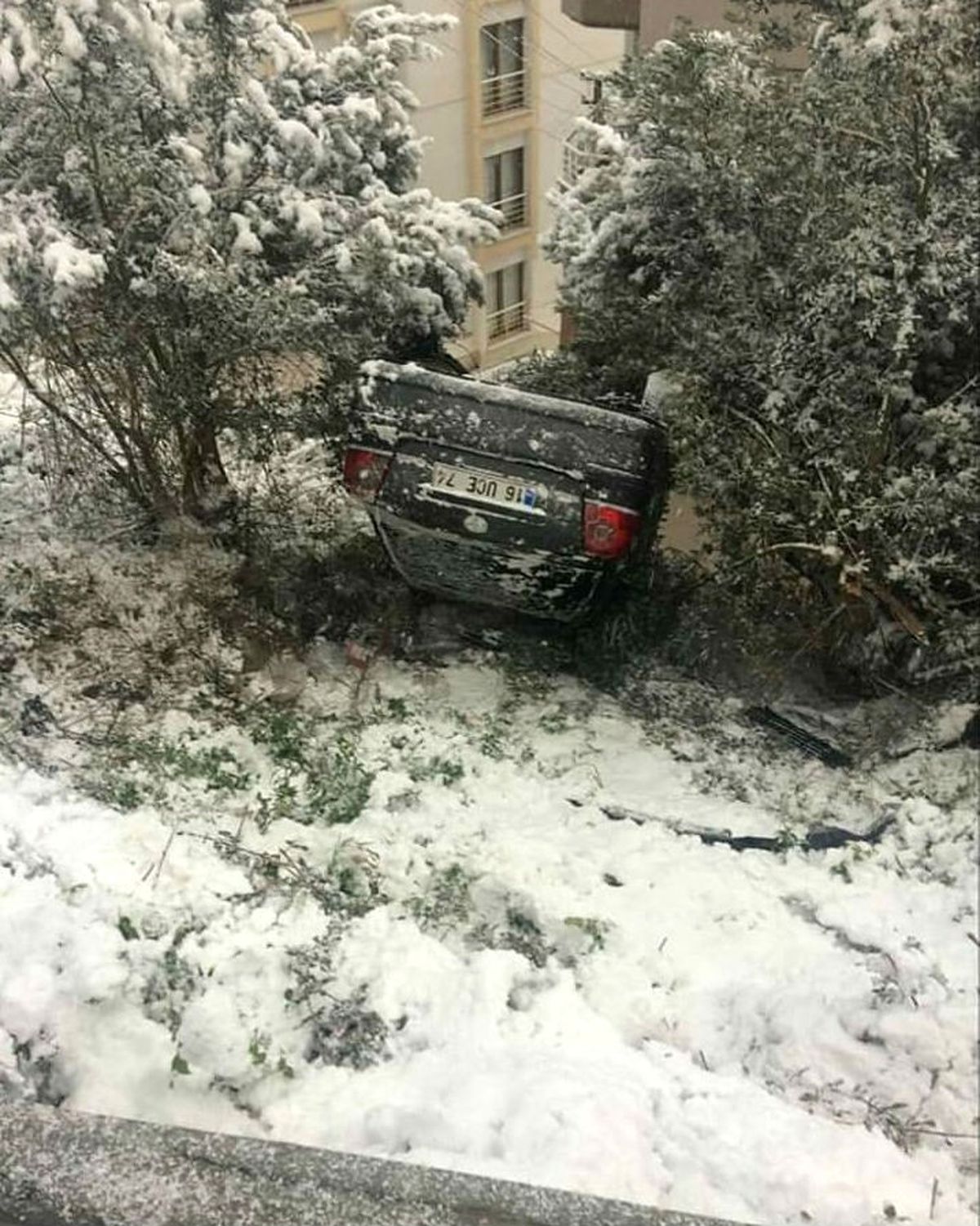 Karda Kayan Otomobil Zeytin Bahçesine Devrildi