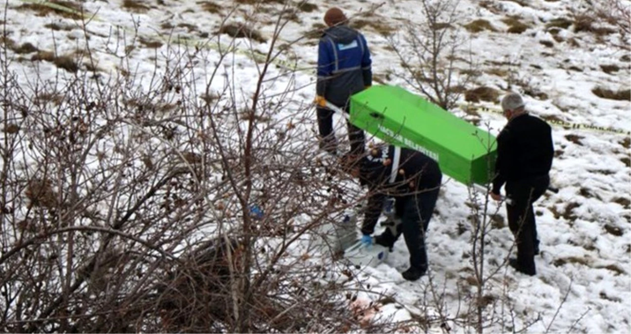 Köpeklerin Liseli Öğrenciyi Öldürdüğü İlçede Vatandaşlar Sokakta Sopayla Geziyor