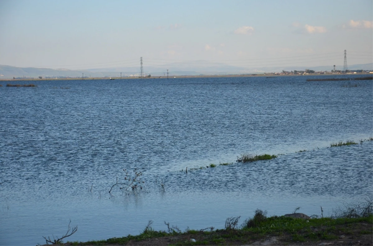 Baraj Kapakları Açıldı Amik Ovası Su Altında Kaldı