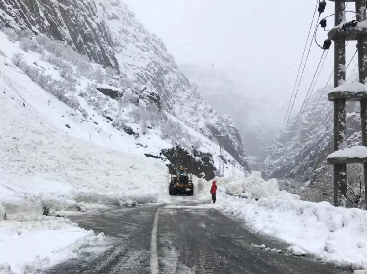 Hakkari-Çukurca Karayoluna Çığ Düştü