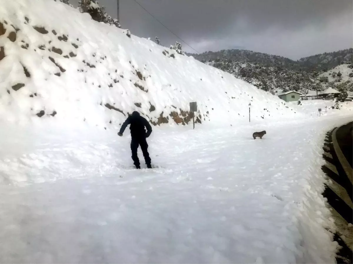 Jandarma, Sokak Hayvanlarına Yiyecek Bıraktı