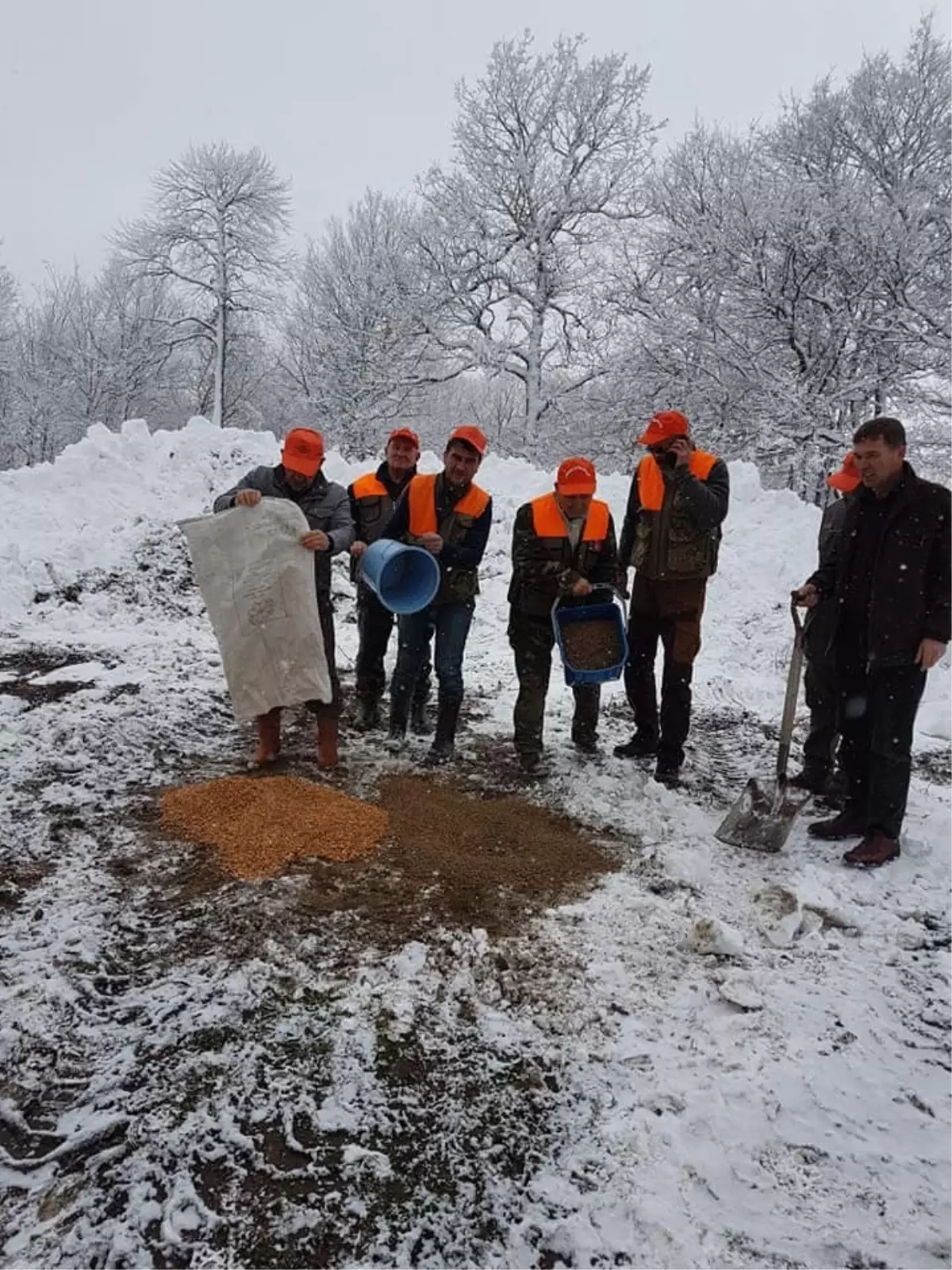 Lapseki\'de Yaban Hayvanları İçin Doğaya 450 Kilogram Yem Döküldü