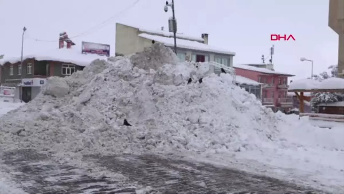 Muş Doğu\'da Çok Sayıda Köy Yolu, Ulaşıma Kapandı