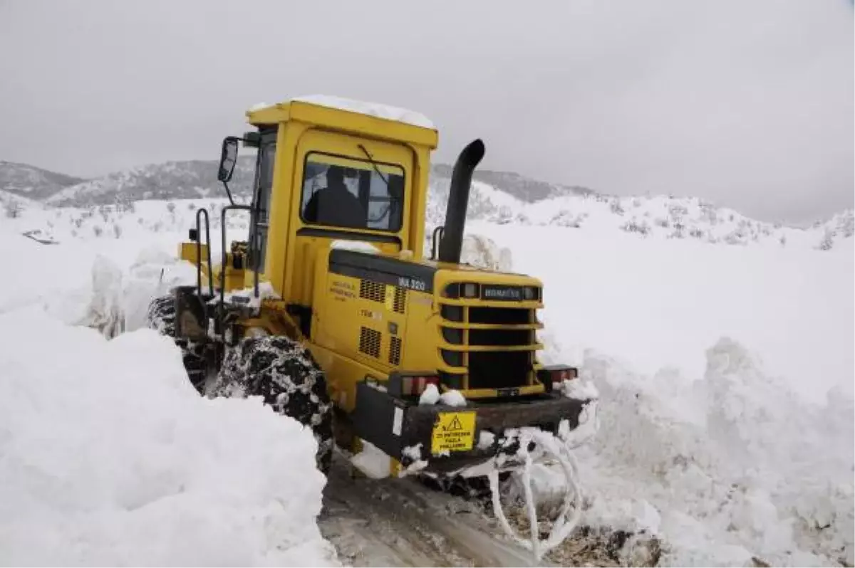 Nazımiye\'de Kar 2 Metreye Aştı, Belediye Başkanı Yardım İstedi