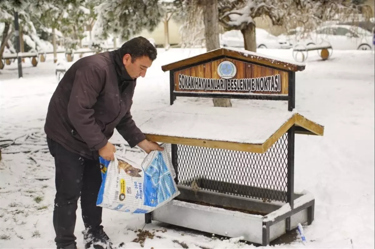 Nevşehir Belediyesi Sokak Hayvanlarına Yem Bıraktı