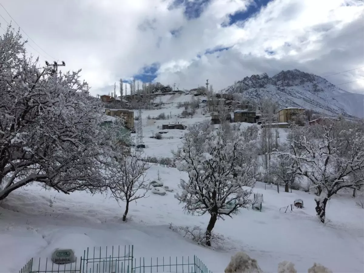 Şırnak\'ta Çığ Düştü, Köy Yolu Ulaşıma Kapandı