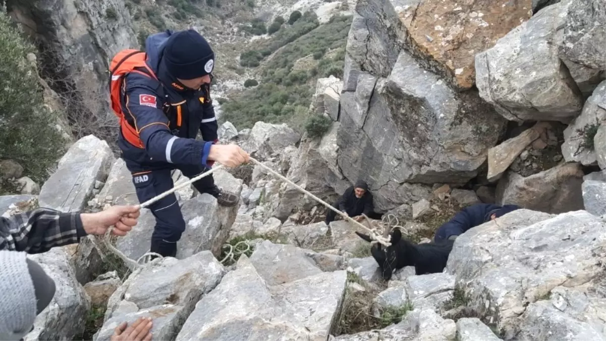 600 Metrede Keçi Kurtarma Operasyonu