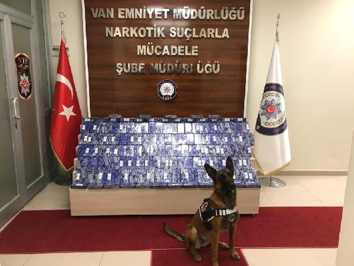 72 Kilo Eroini Narkotik Köpeği \'Zeyna\' Buldu