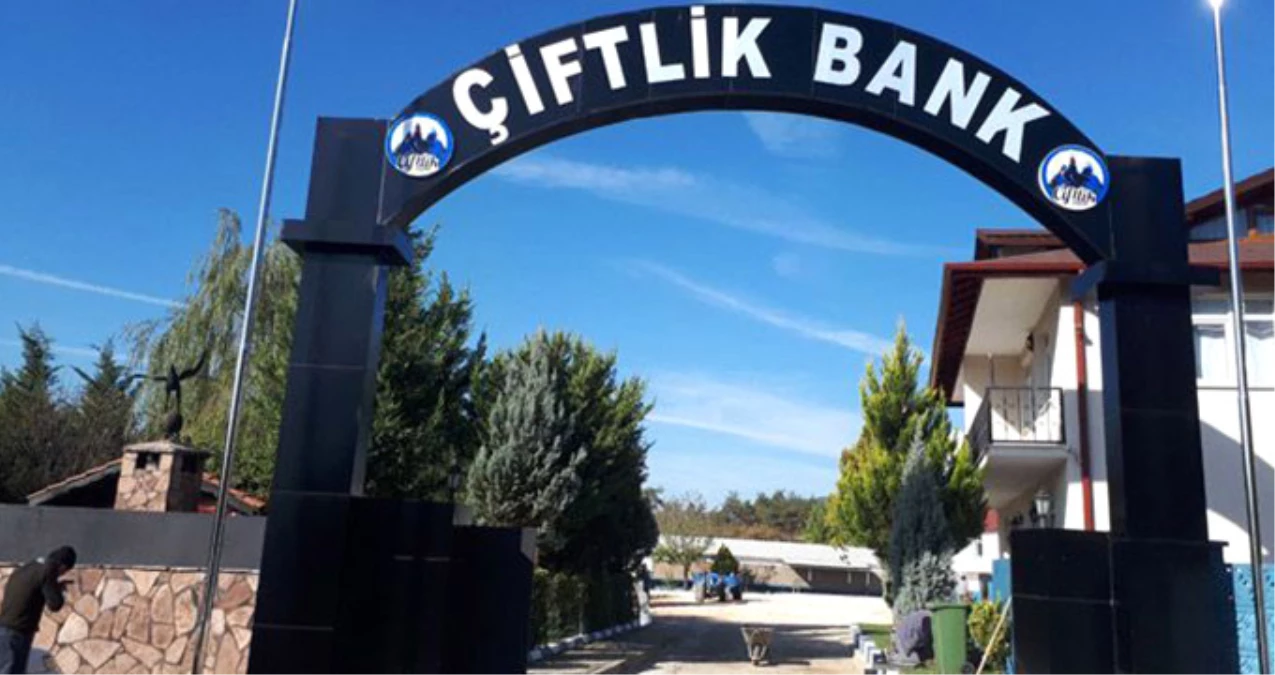 Çiftlik Bank\'ın Sosyal Medya Sorumlusu, Saklandığı Evde Yakalandı